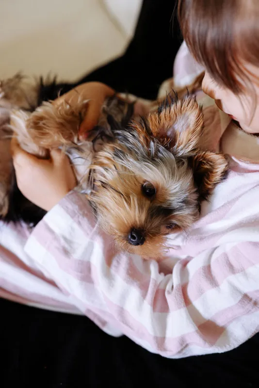 Pet-friendly homes at The GENS by Botanica